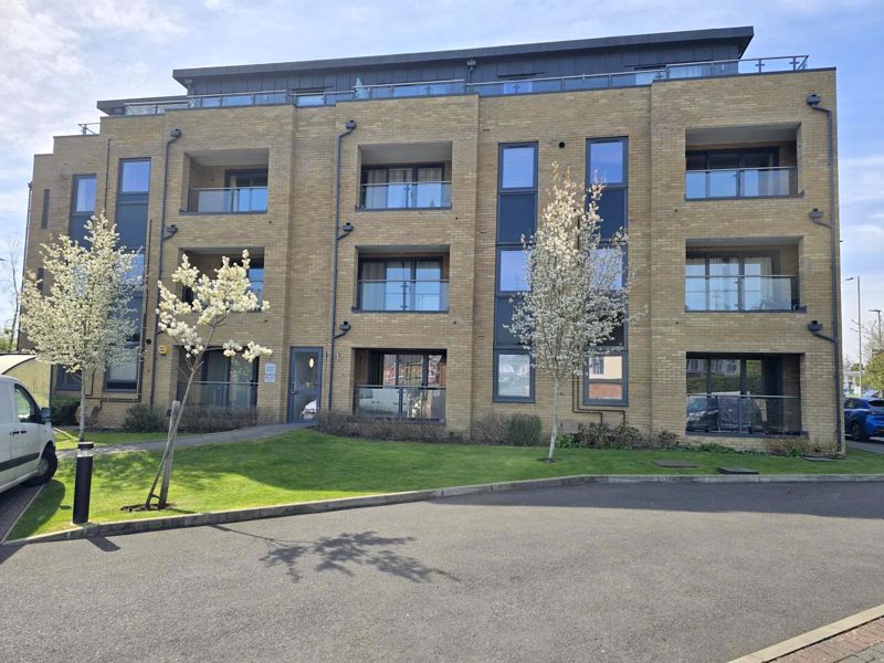 Main Image